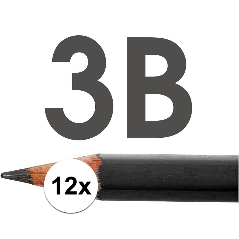 12x 3B potloden voor professioneel gebruik