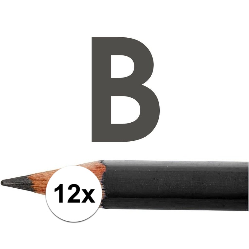 12x B potloden voor professioneel gebruik