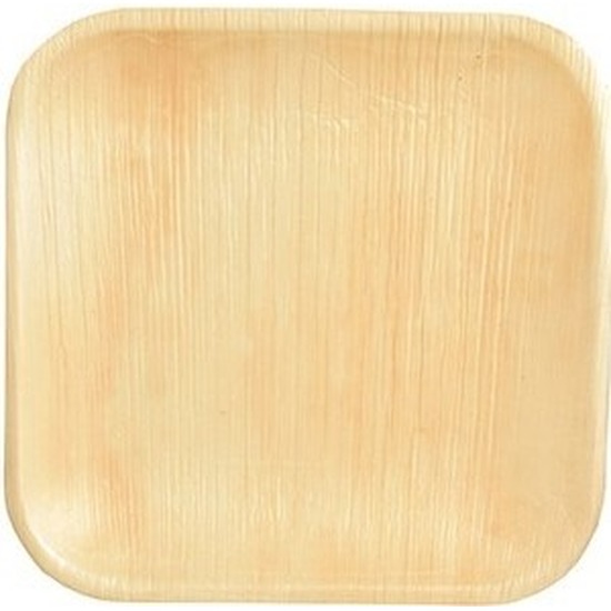 12x Wegwerp bamboe-palmblad borden 18 cm vierkant composteerbaar