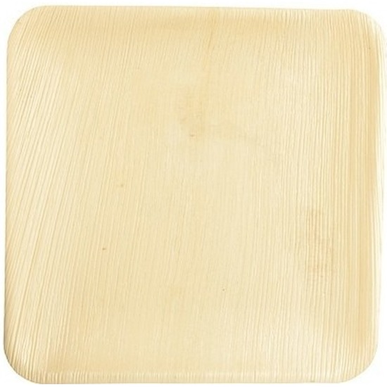 12x Wegwerp bamboe-palmblad borden 25,5 cm vierkant composteerbaar