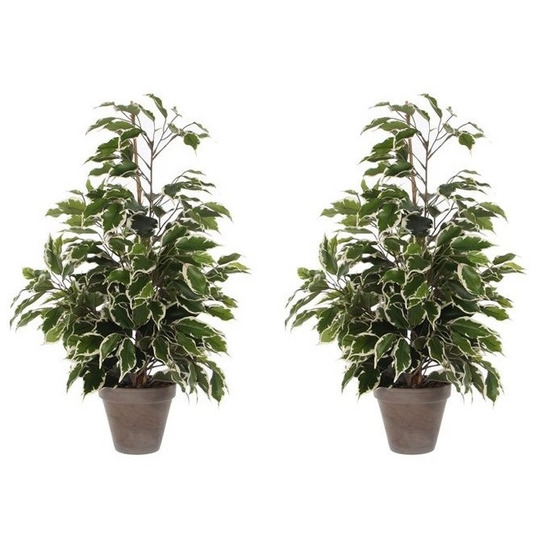 2x Groen-witte ficus kunstplanten 65 cm