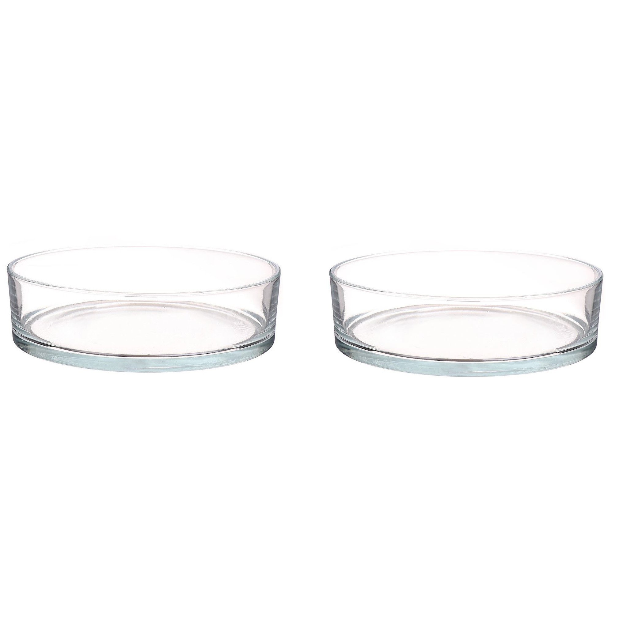 2x Lage glazen schalen transparant glas cilindervormig 8 x 29 cm
