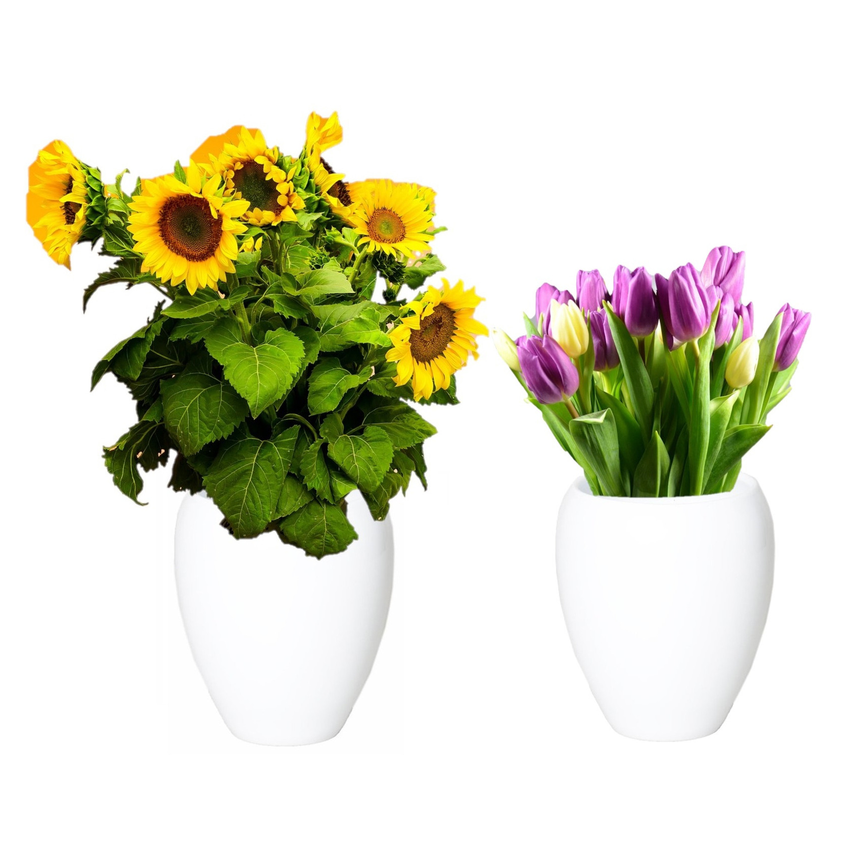 2x stuks bloemen vaas-vazen wit van keramiek D25 x H28 cm