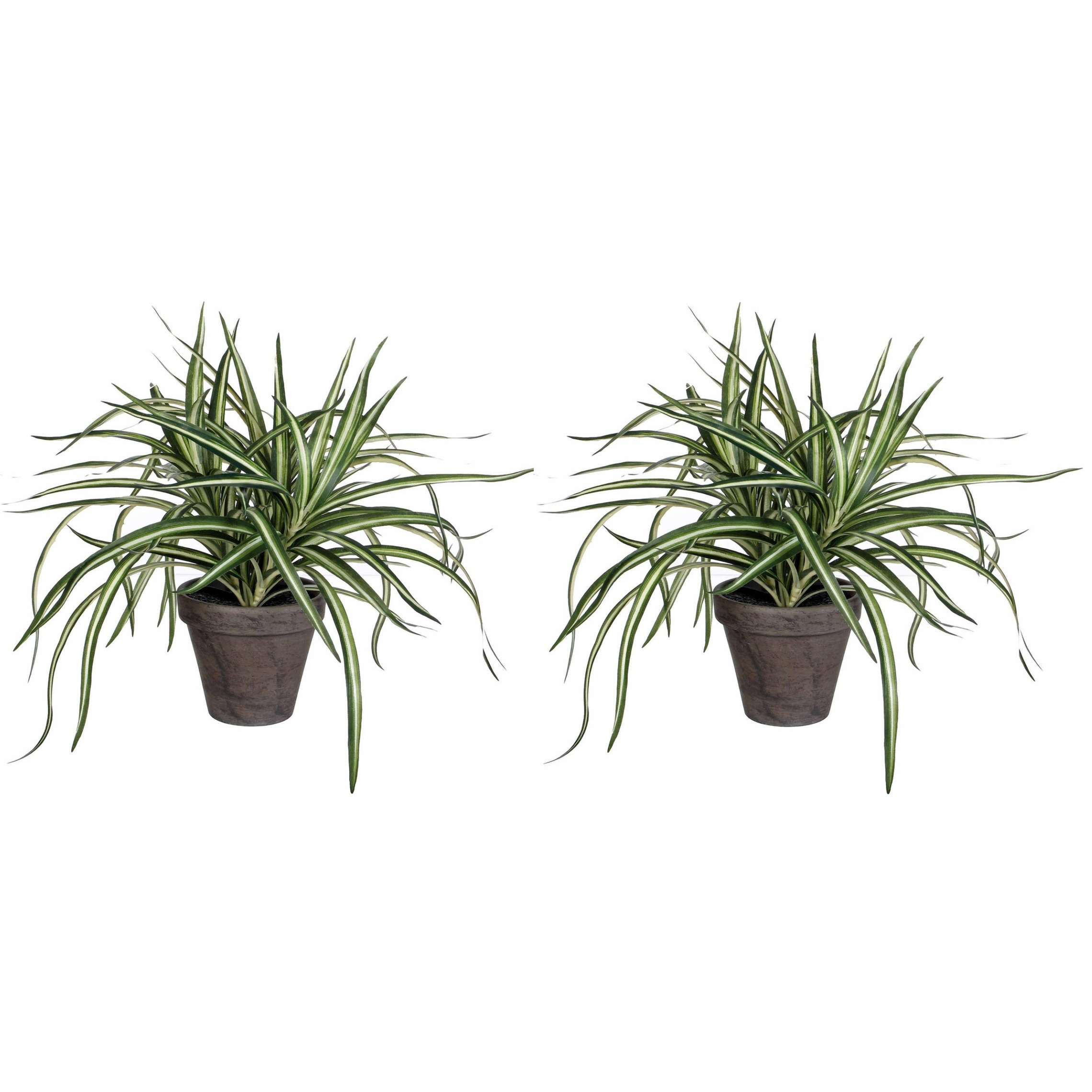 2x stuks dracaena kunstplanten groen in grijze pot H34 cm x D40 cm