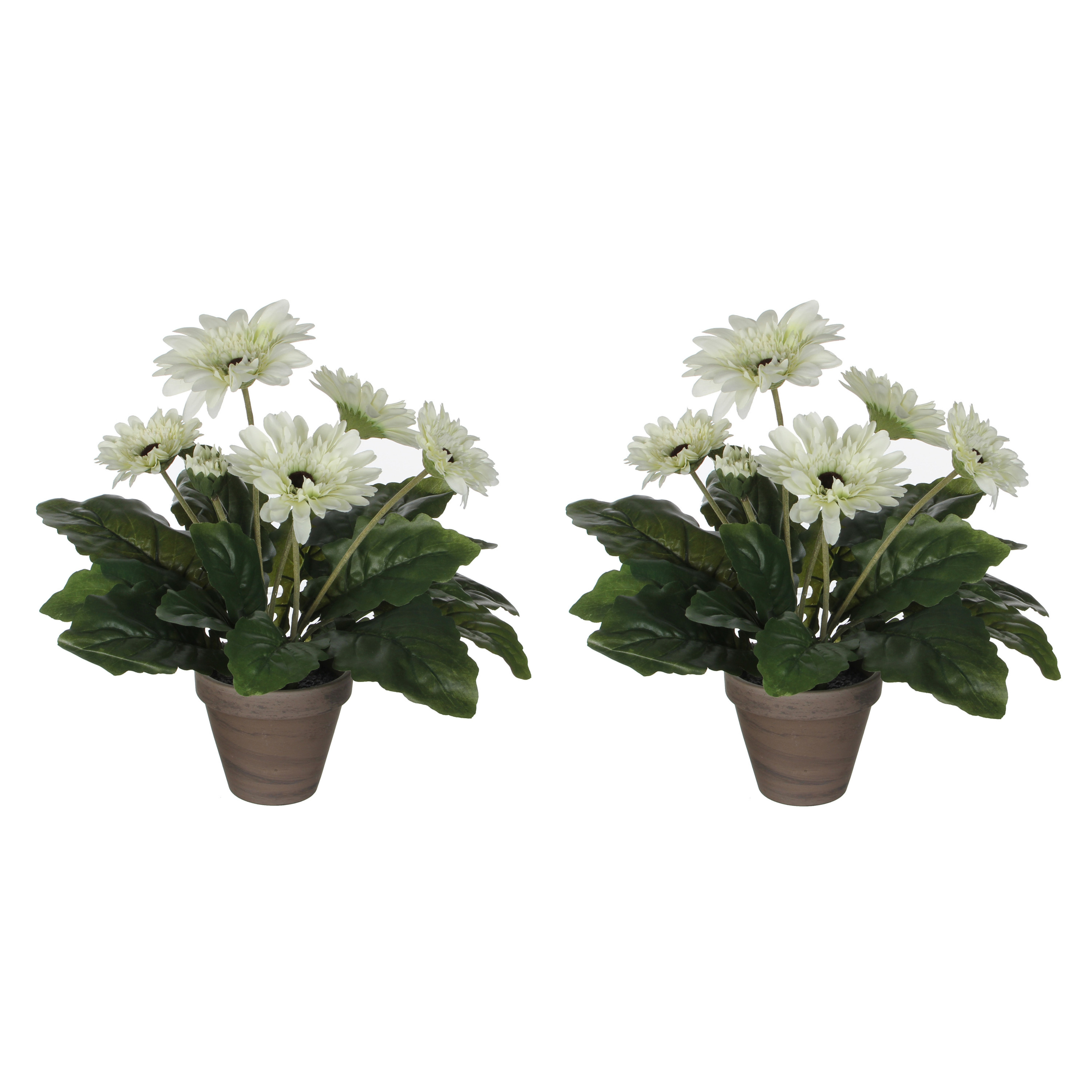 2x stuks gerbera kunstplanten wit in keramiek pot H35 cm