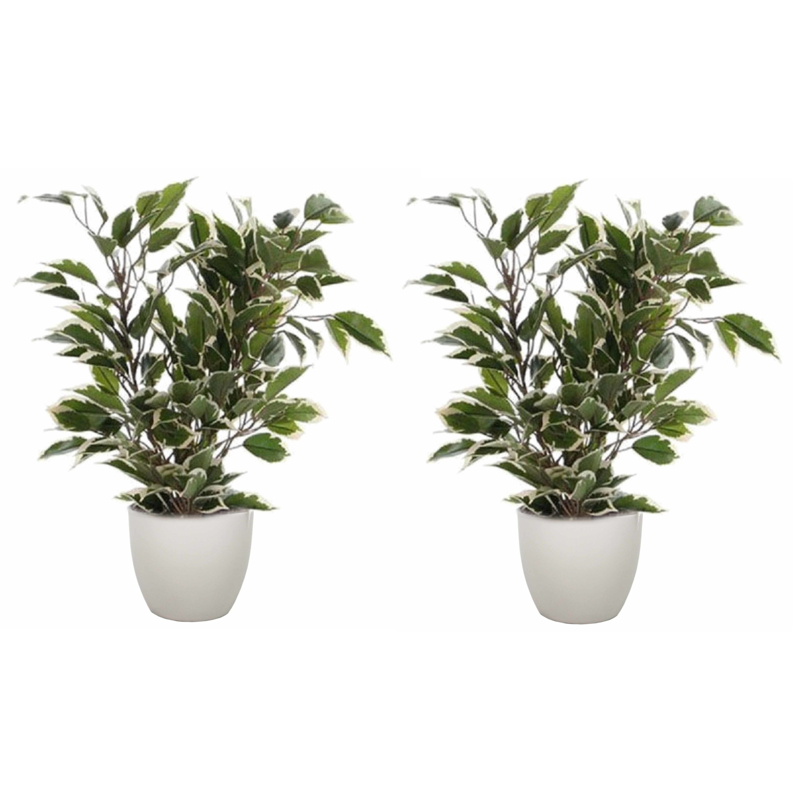 2x stuks groen-witte ficus kunstplant 40 cm met plantenpot taupe D13.5 en H12.5 cm