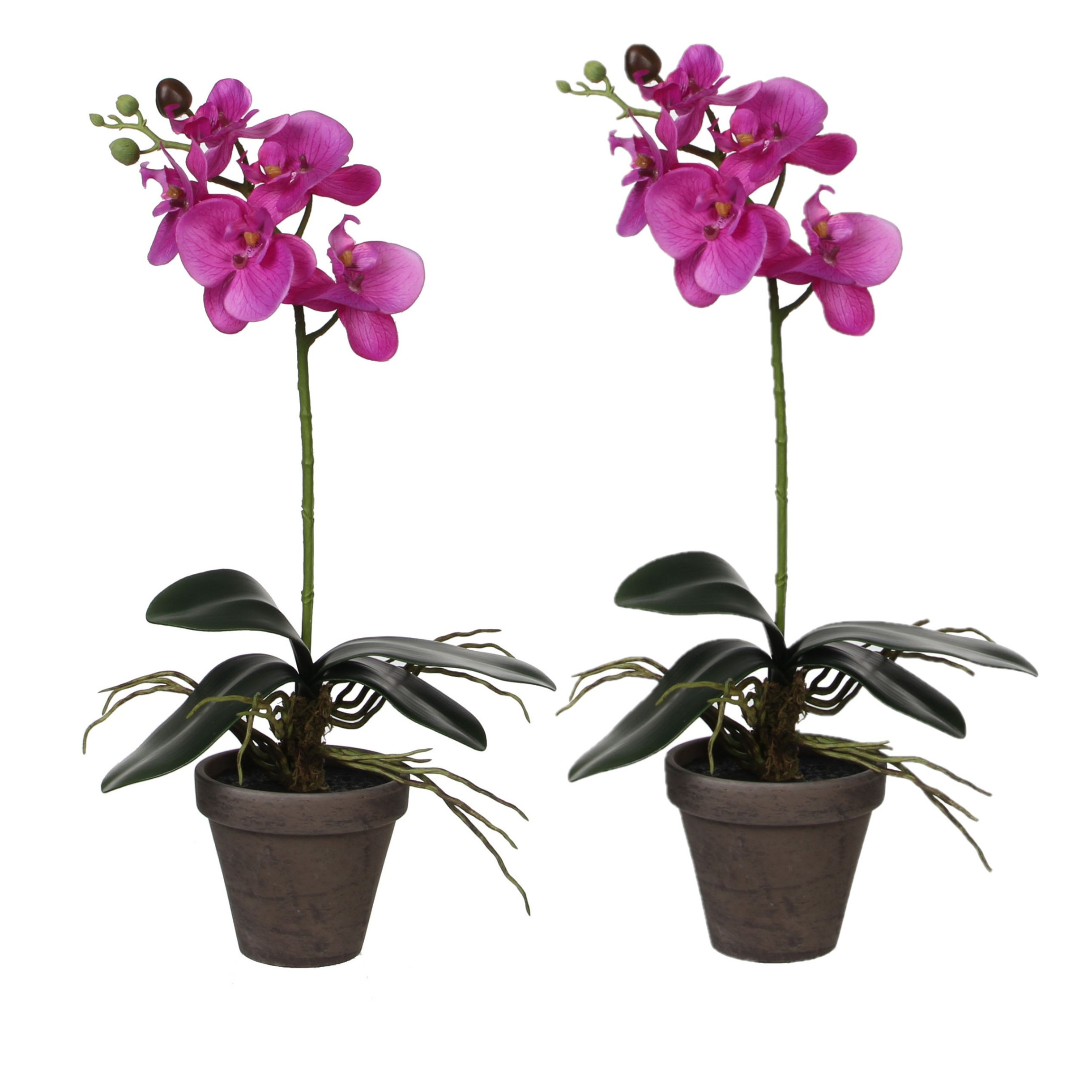 2x stuks phalaenopsis Orchidee kunstplanten paars in grijze pot H48 x D13 cm
