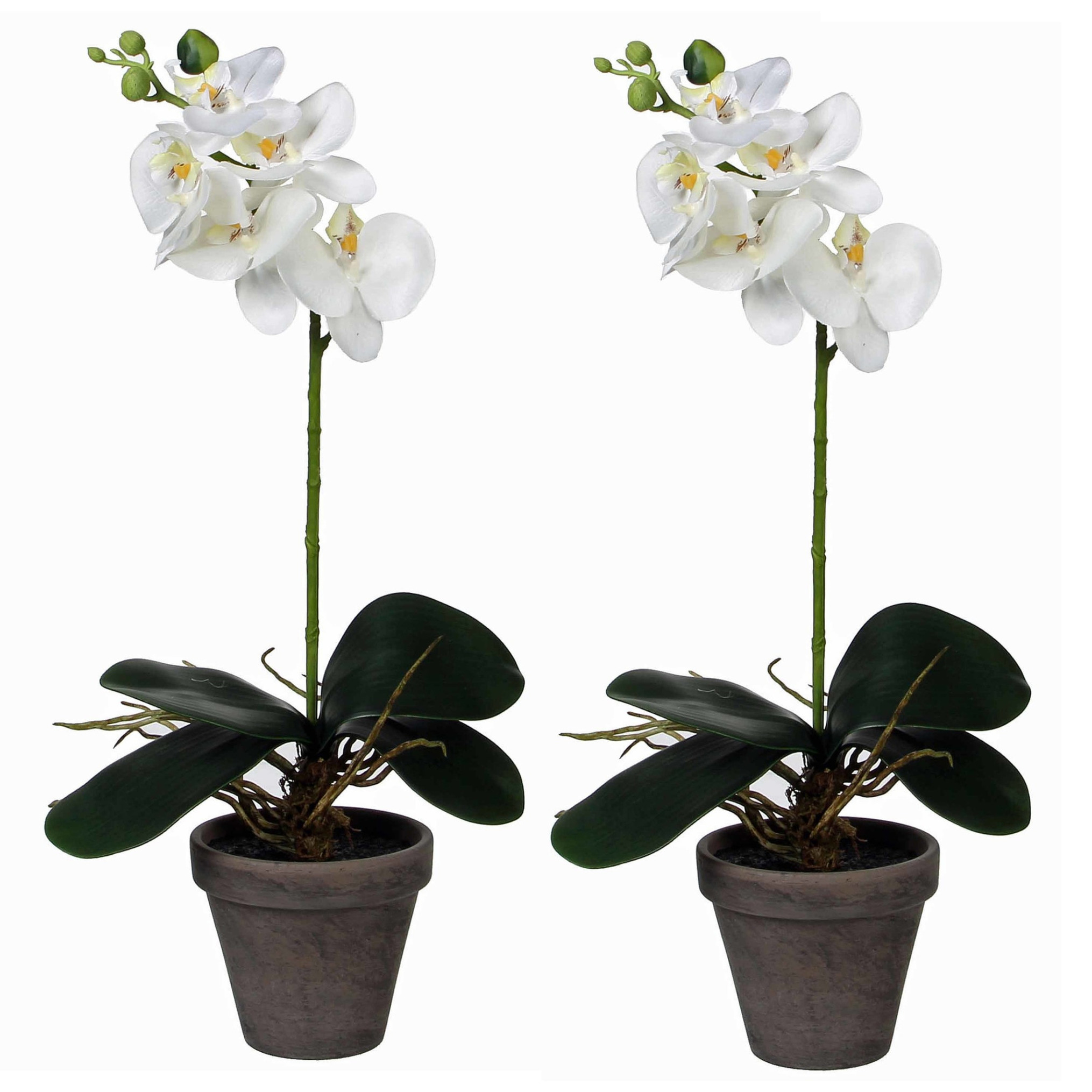 2x stuks phalaenopsis Orchidee kunstplanten wit in grijze pot H48 x D13 cm