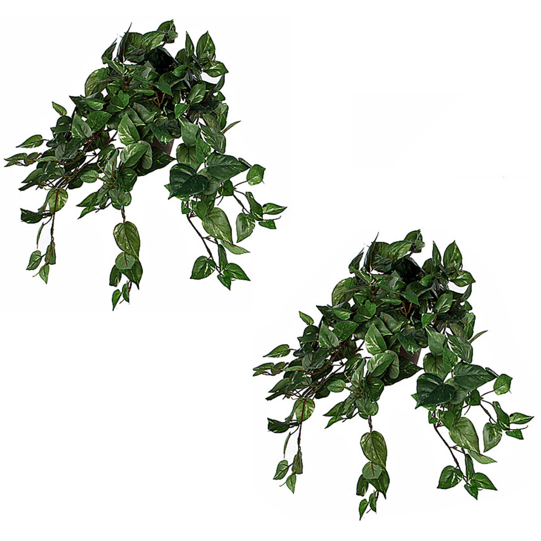 2x stuks scindapsus Drakenklimop kunstplanten groen L45 x B25 x H25 cm hangplant