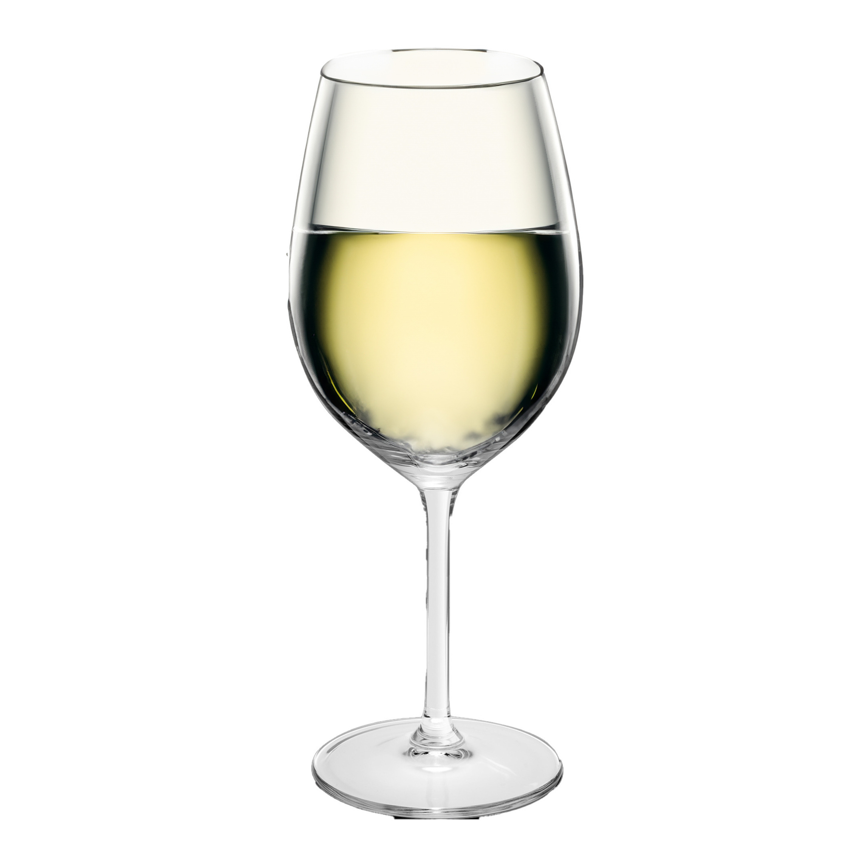6x Luxe witte wijn glazen 320 ml Esprit