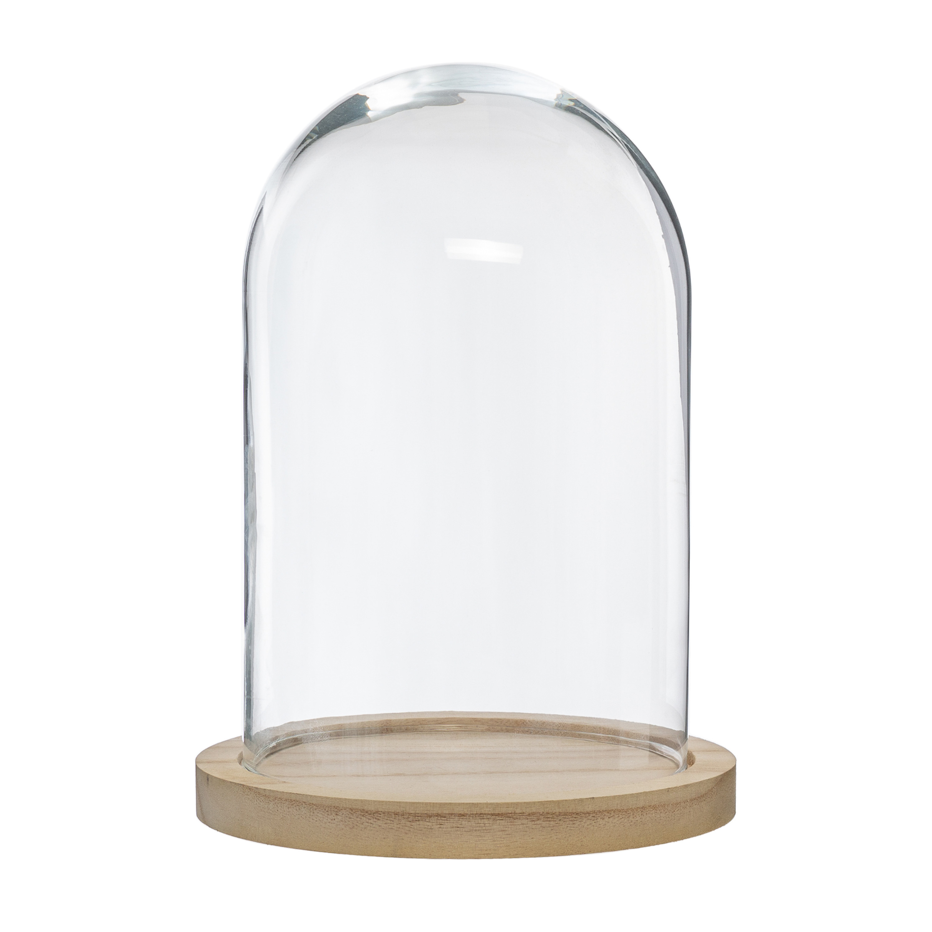 Atmosphera Home decoratie glazen stolp op houten plateau glas-lichtbruin D15 x H24 cm