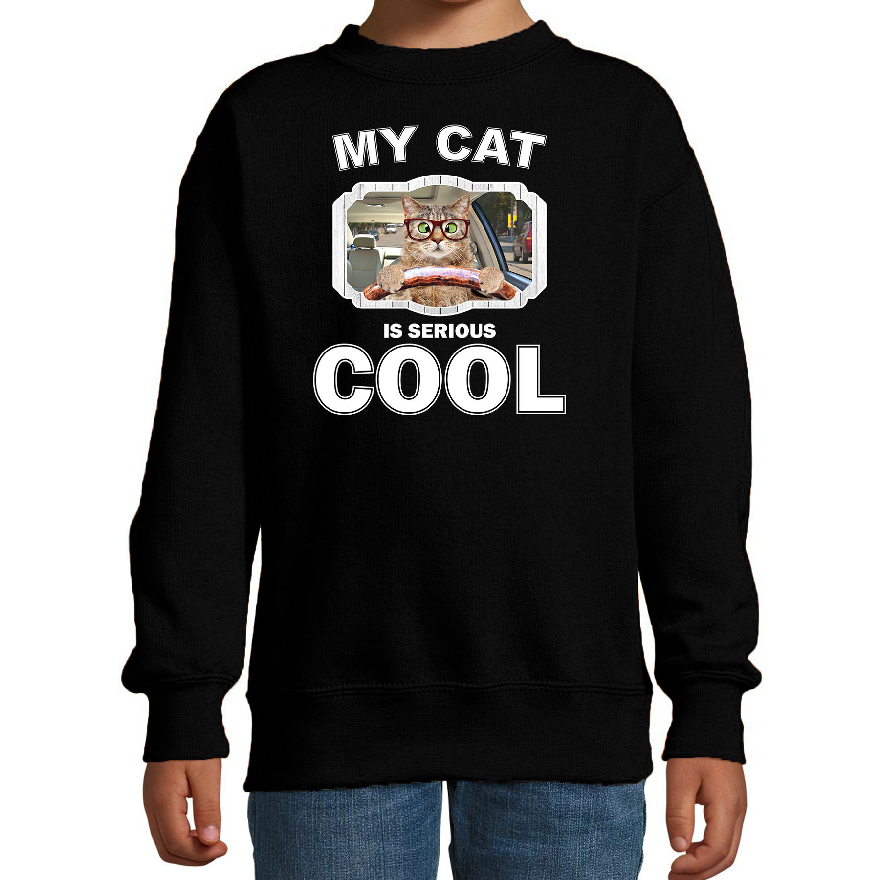 Auto rijdende kat liefhebber trui-sweater my cat is serious cool zwart voor kinderen