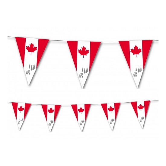 Canadese vlaggenlijn 3,5 meter