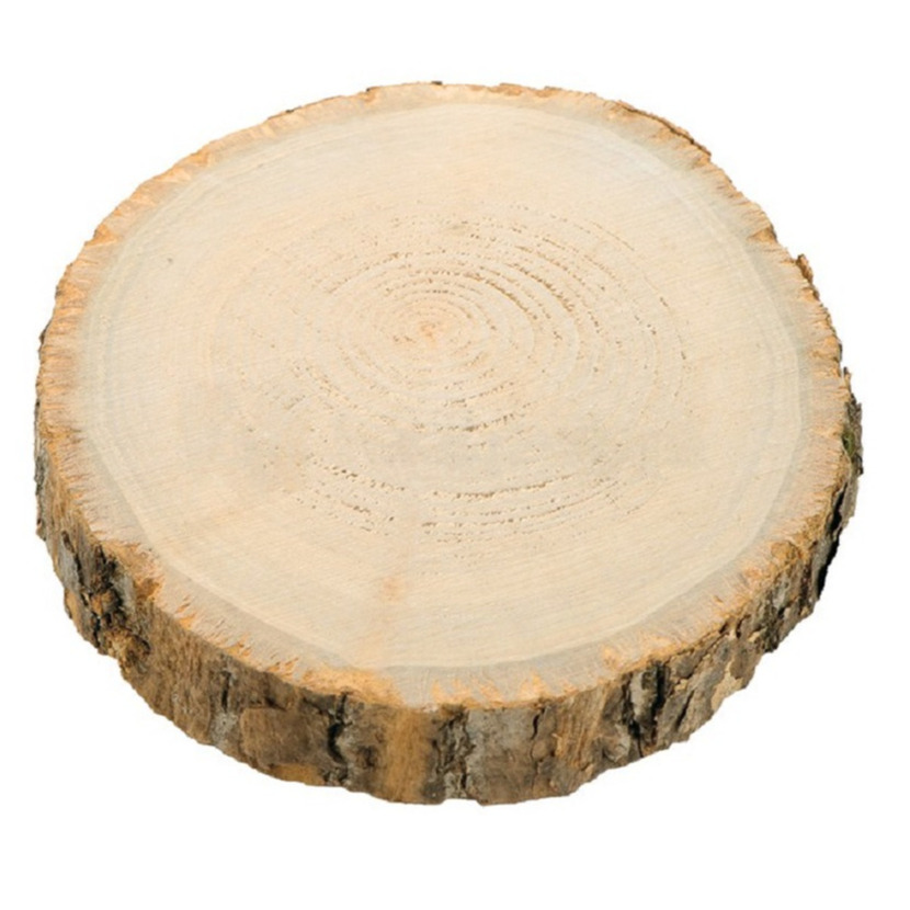 Chaks Kaarsenplateau boomschijf met schors hout D17 x H2 cm rond