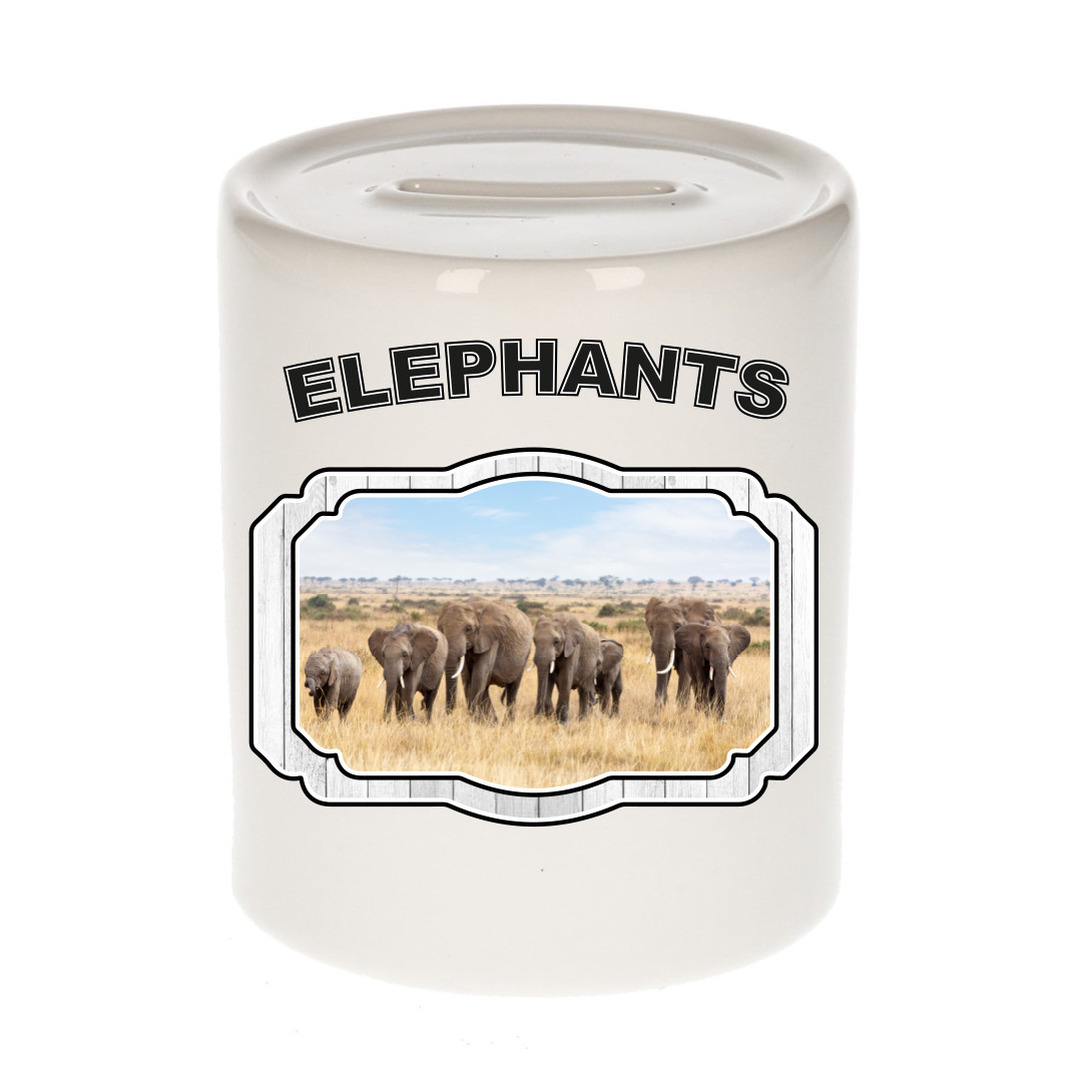Dieren liefhebber olifant spaarpot olifanten cadeau