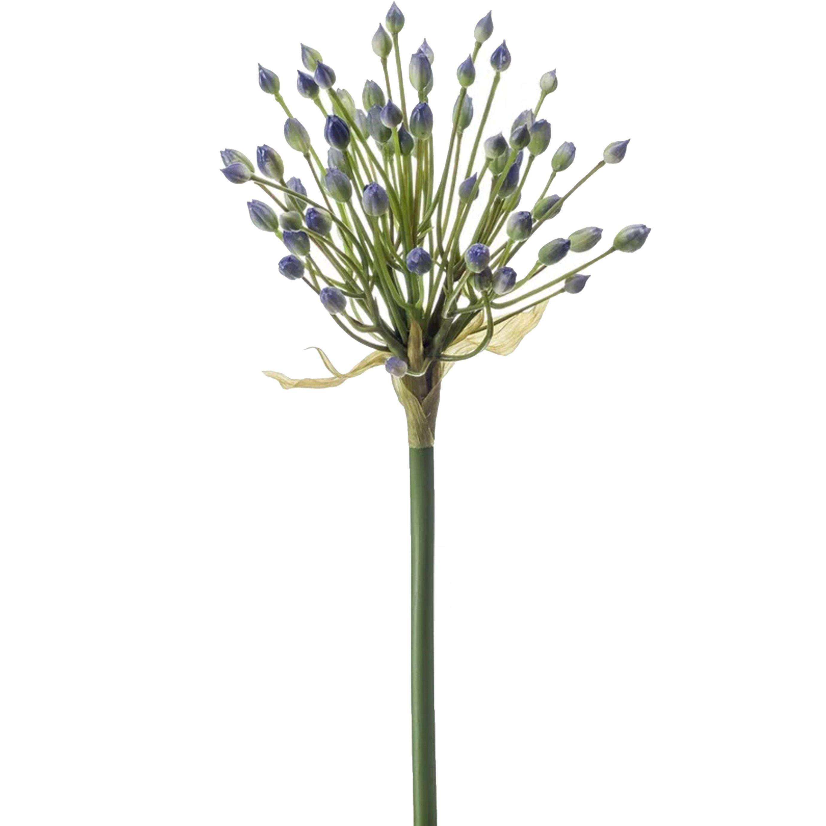 Emerald Allium-Sierui kunstbloem losse steel blauw 70 cm Natuurlijke uitstraling