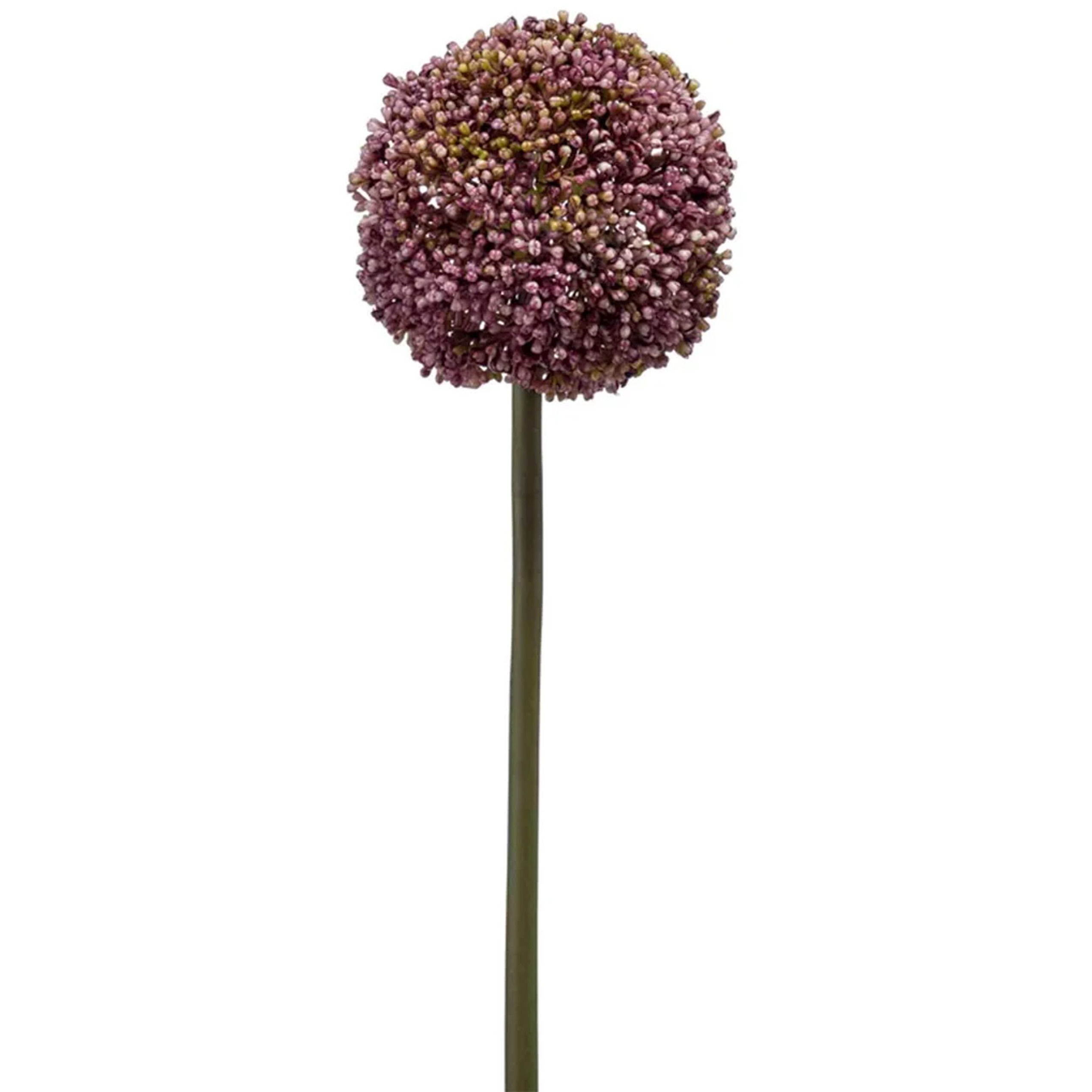 Emerald Allium-Sierui kunstbloem losse steel paars 75 cm Natuurlijke uitstraling