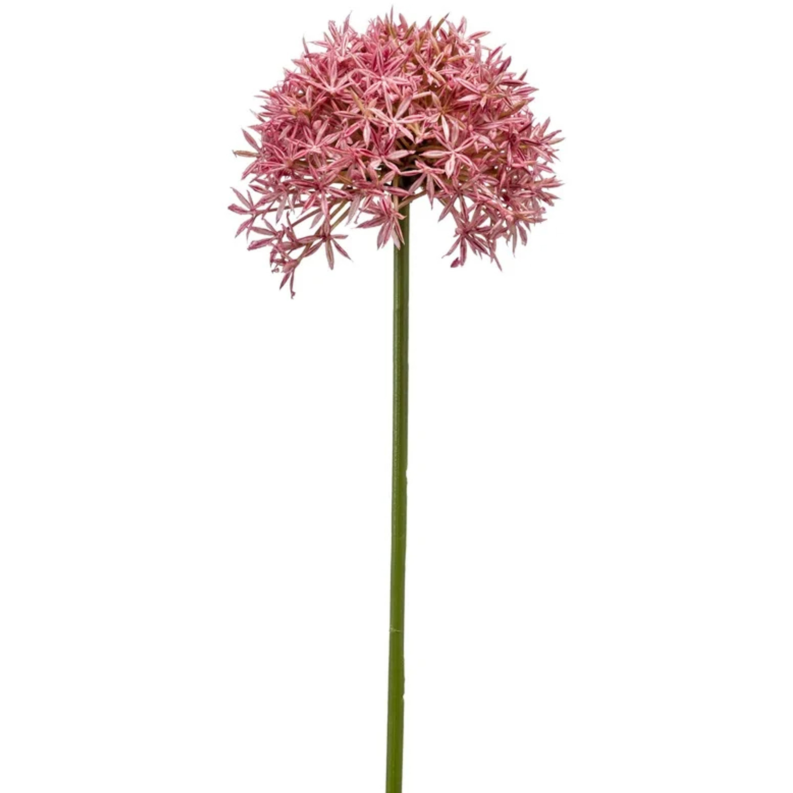 Emerald Allium-Sierui kunstbloem losse steel roze 62 cm Natuurlijke uitstraling