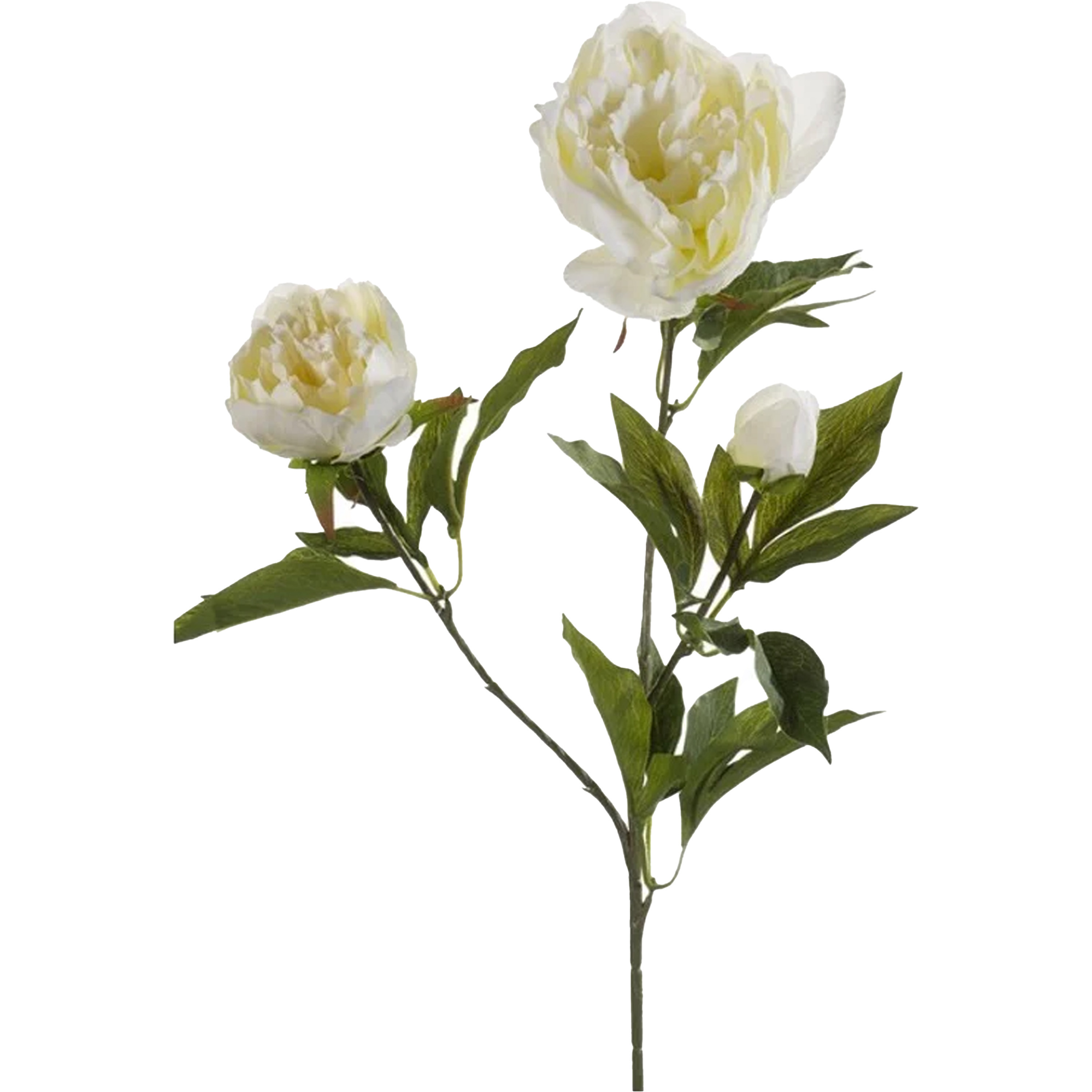 Emerald Kunstbloem pioenrozen tak 3 bloemen wit 70 cm decoratie
