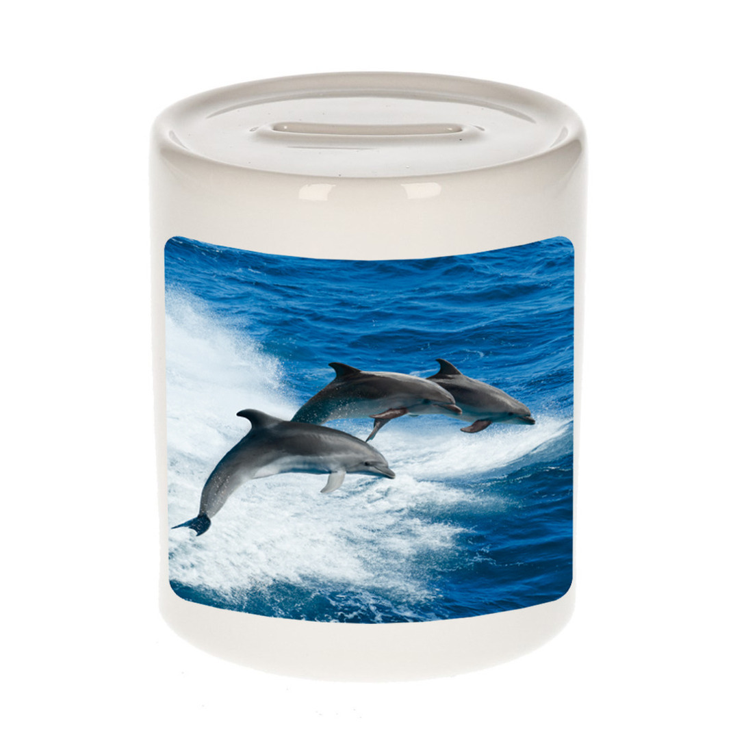 Foto dolfijn groep spaarpot 9 cm Cadeau dolfijnen liefhebber