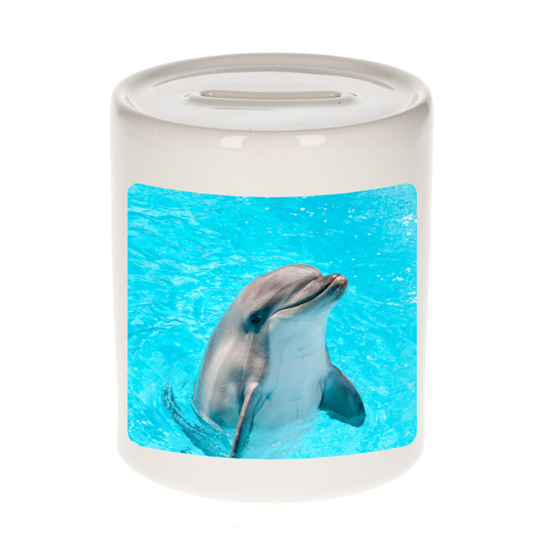 Foto dolfijn spaarpot 9 cm Cadeau dolfijnen liefhebber