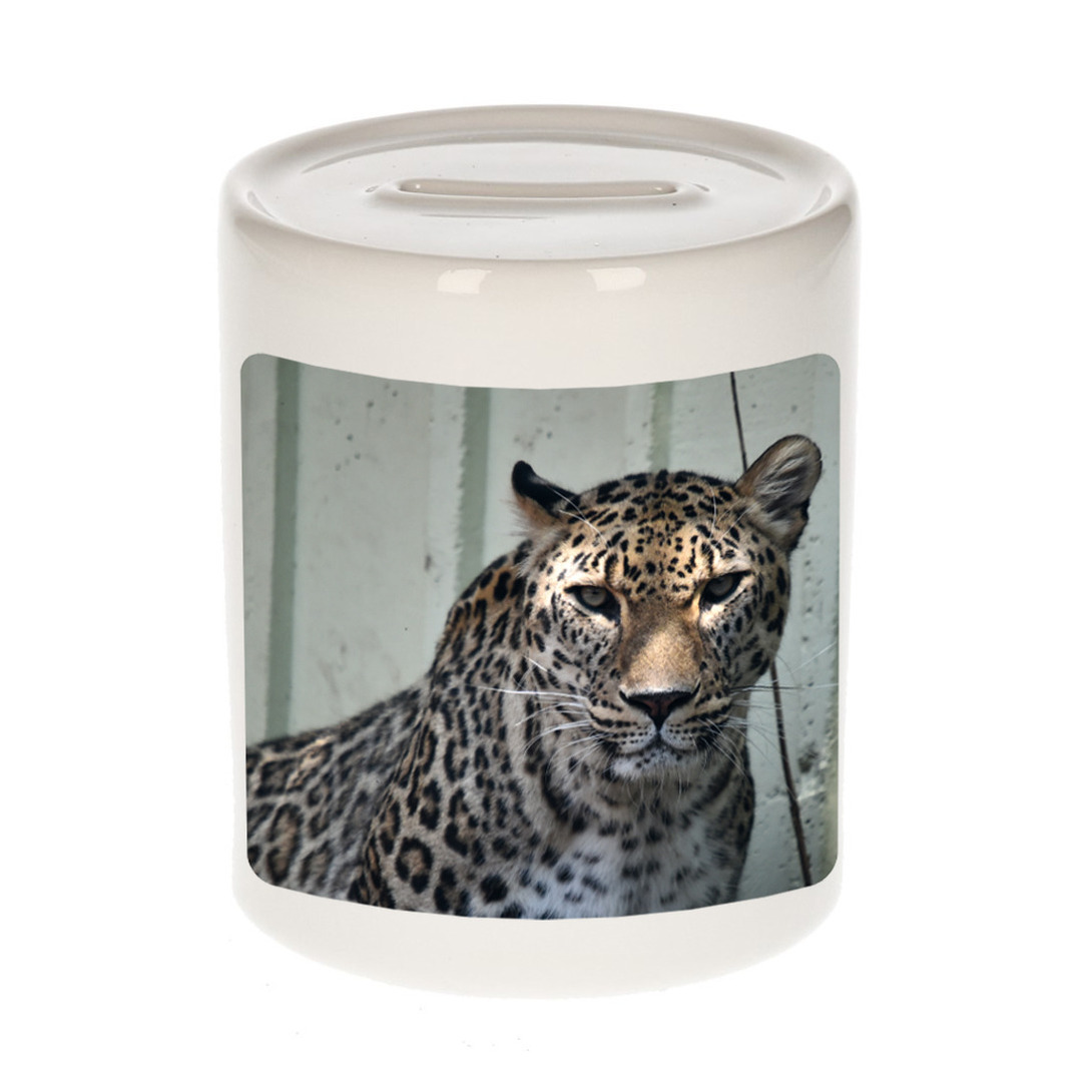 Foto gevlekte jaguar spaarpot 9 cm Cadeau jaguars liefhebber