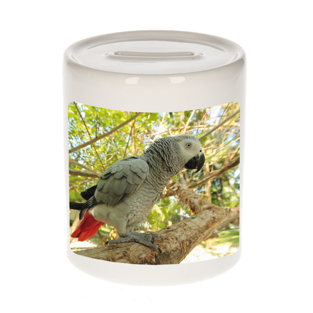 Foto grijze roodstaart papegaai spaarpot 9 cm Cadeau papegaaien liefhebber