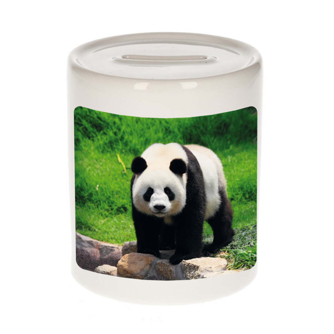 Foto grote panda spaarpot 9 cm Cadeau pandaberen liefhebber