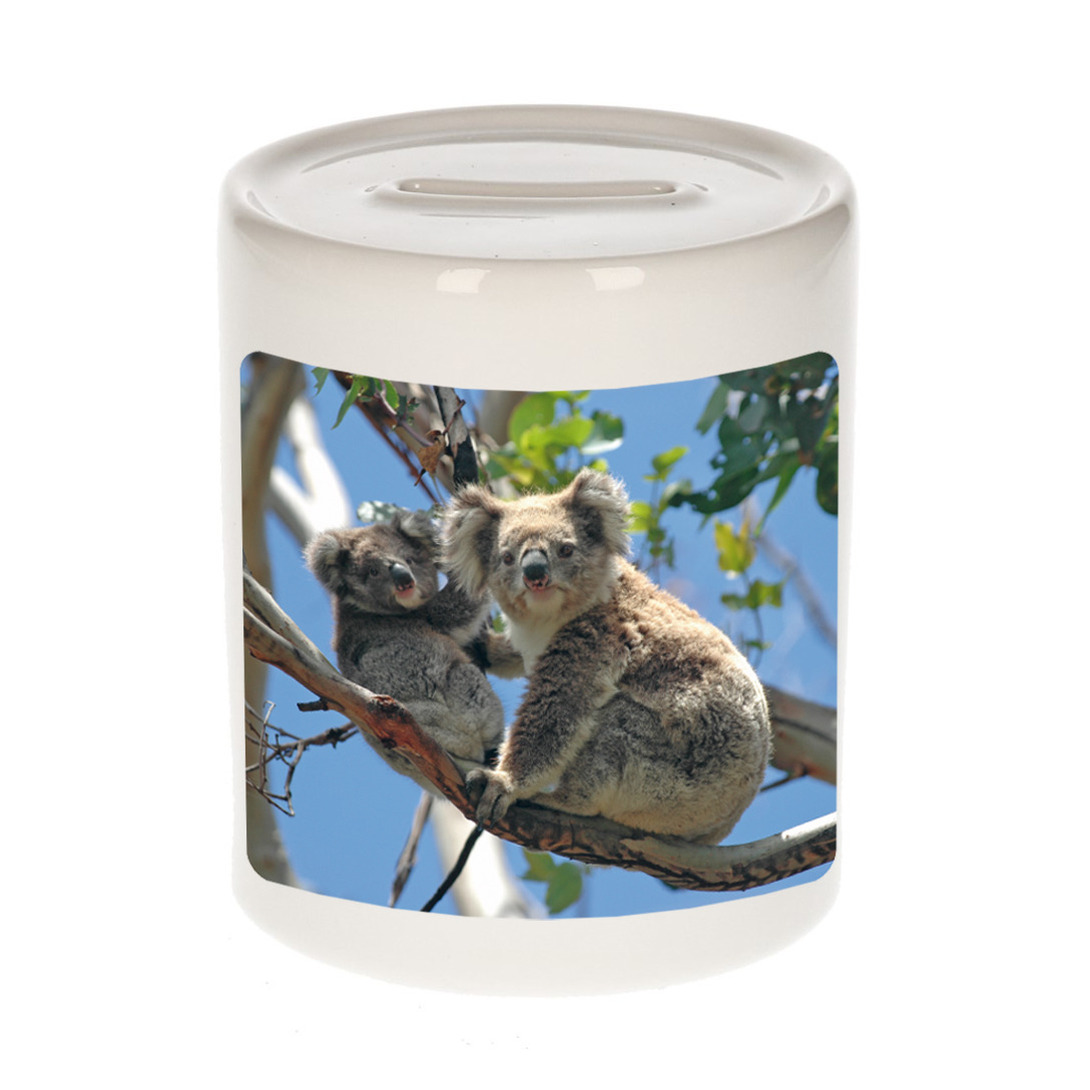 Foto koala beer spaarpot 9 cm Cadeau koalaberen liefhebber
