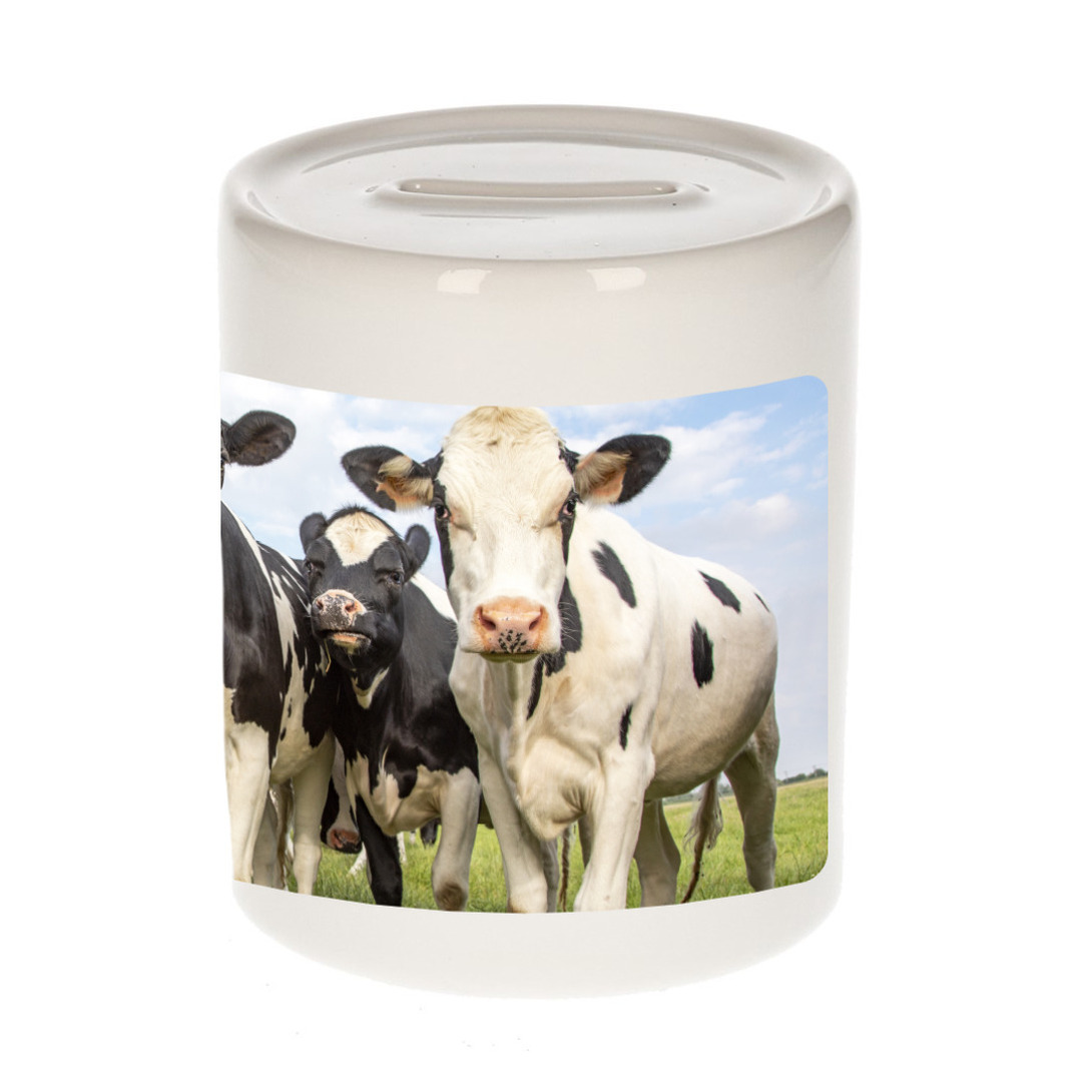 Foto koe spaarpot 9 cm Cadeau Nederlandse koeien liefhebber