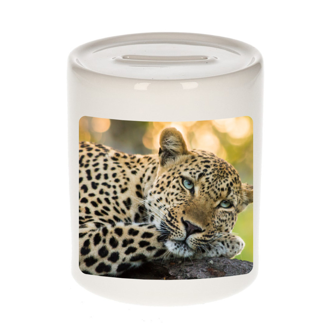 Foto luipaard spaarpot 9 cm Cadeau jaguars- luipaarden liefhebber