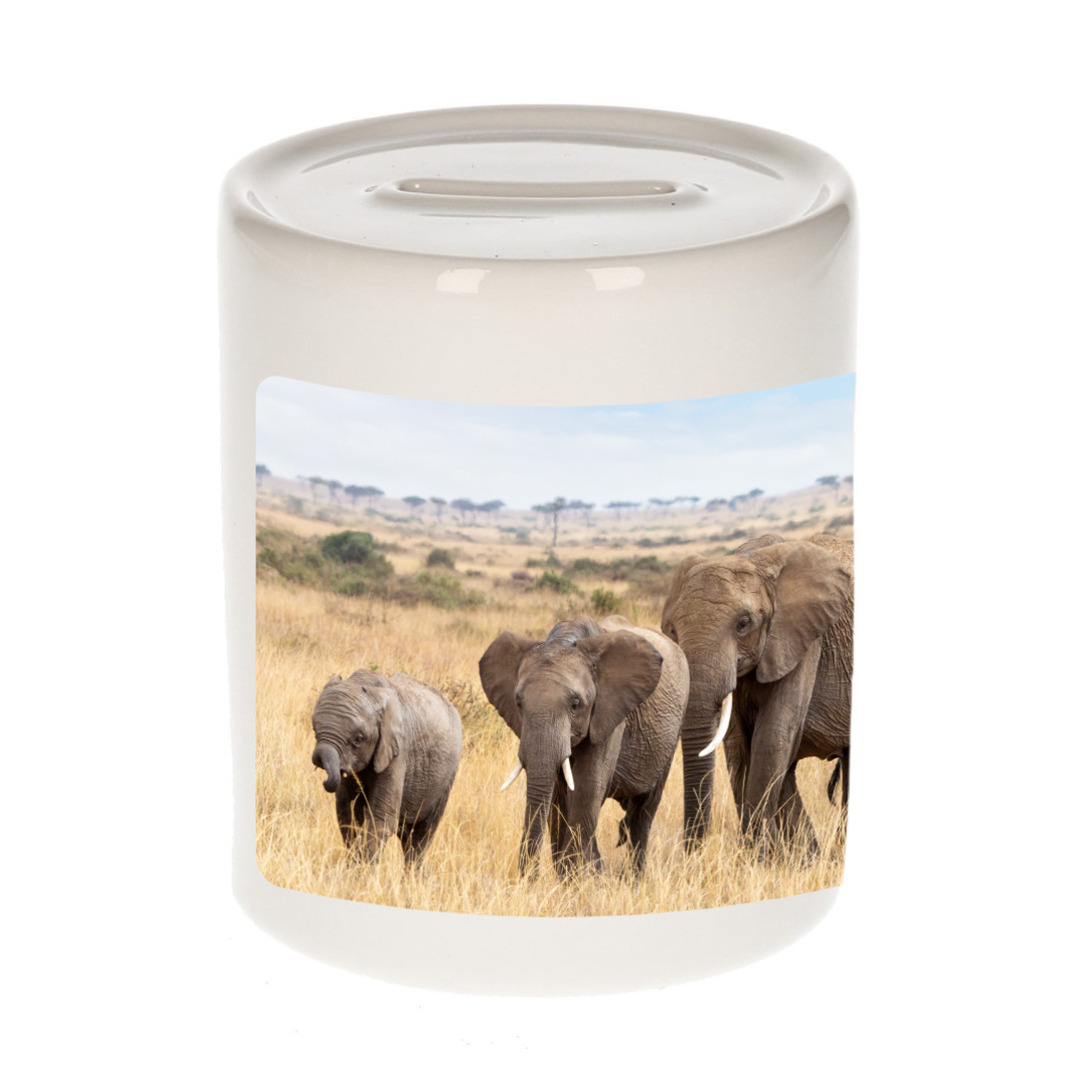 Foto olifant spaarpot 9 cm Cadeau olifanten kudde liefhebber
