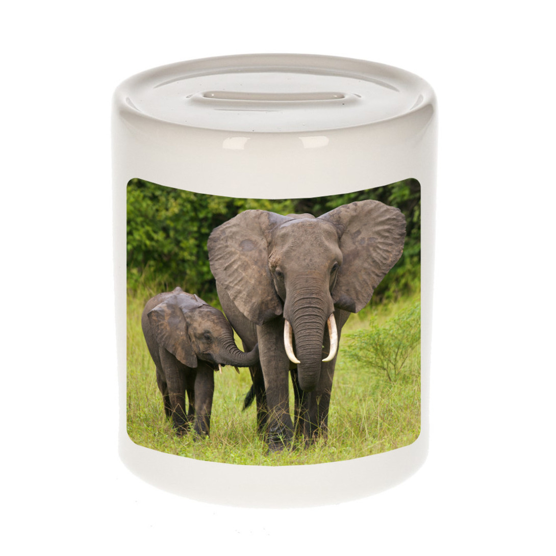 Foto olifant spaarpot 9 cm Cadeau olifanten liefhebber