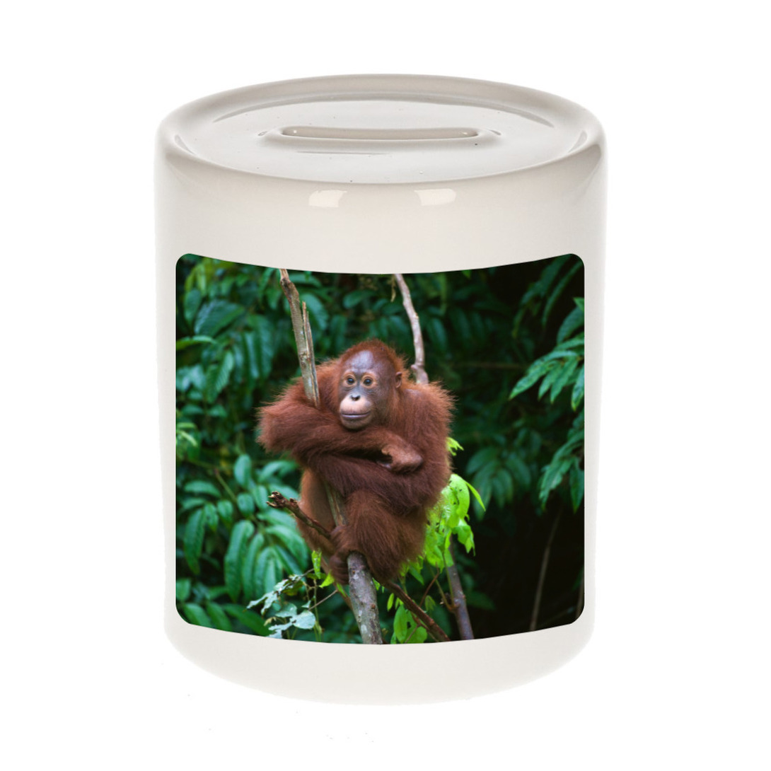 Foto orangoetan spaarpot 9 cm Cadeau apen liefhebber