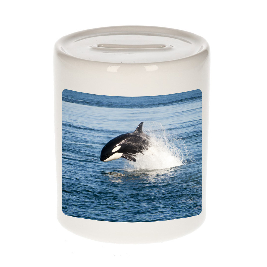 Foto orka spaarpot 9 cm Cadeau orka vissen liefhebber