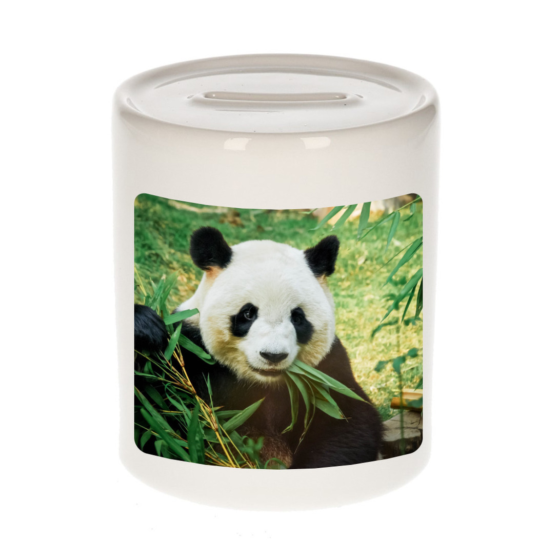 Foto panda spaarpot 9 cm Cadeau pandaberen liefhebber