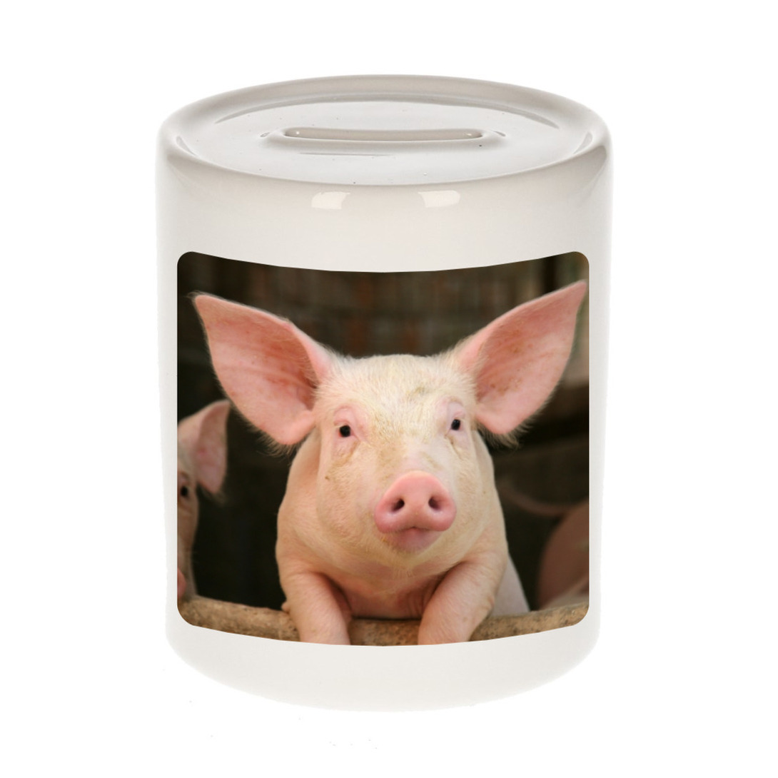 Foto varken spaarpot 9 cm Cadeau varkens liefhebber