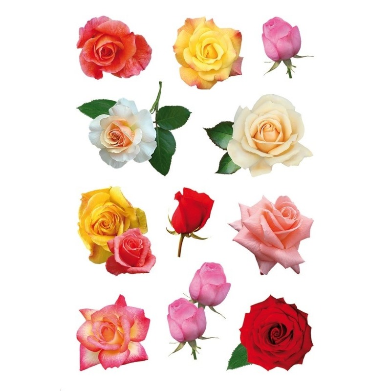 Gekleurde rozen bloemen stickervellen met 99 stickers