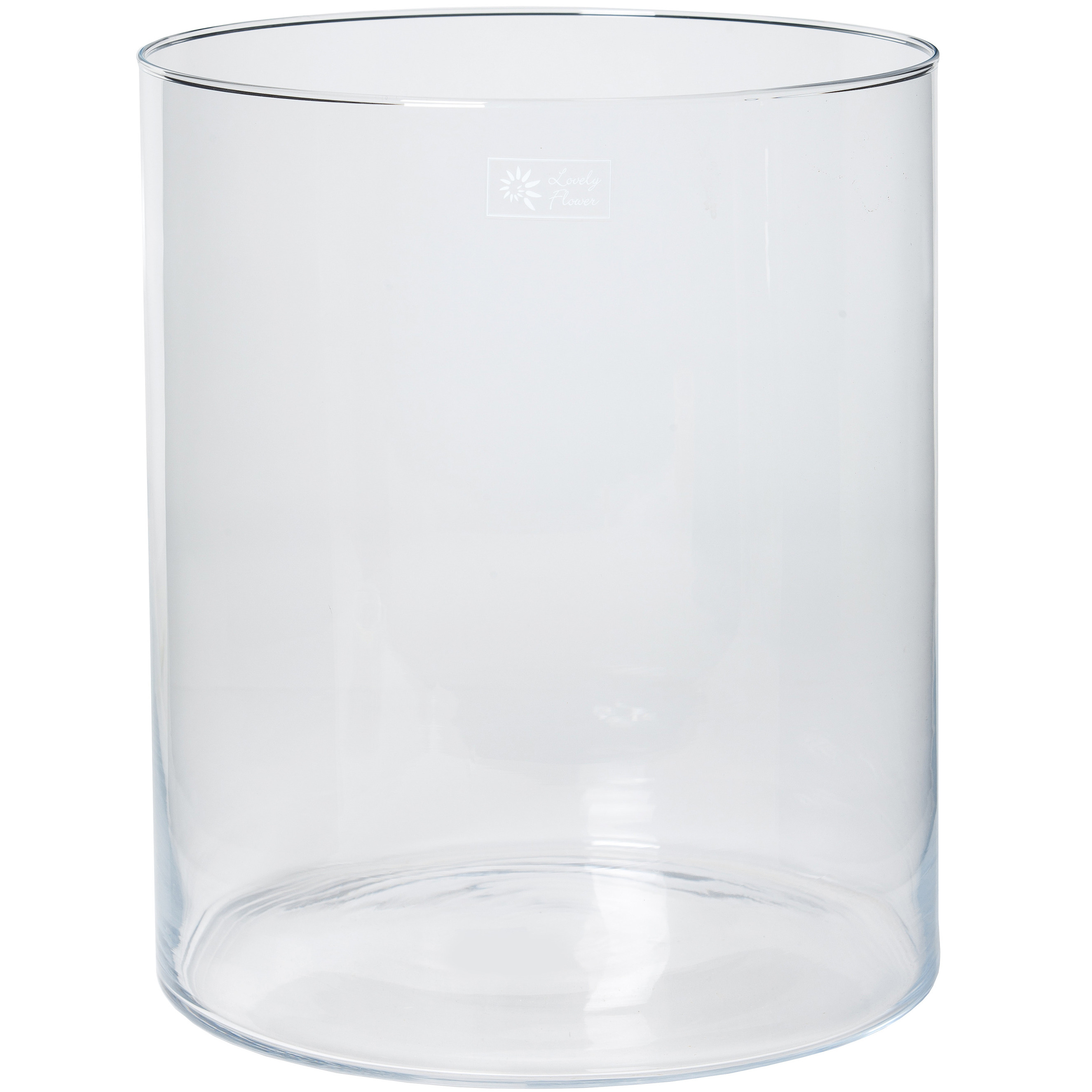 Glazen bloemen cilinder vaas-vazen 30 x 35 cm transparant