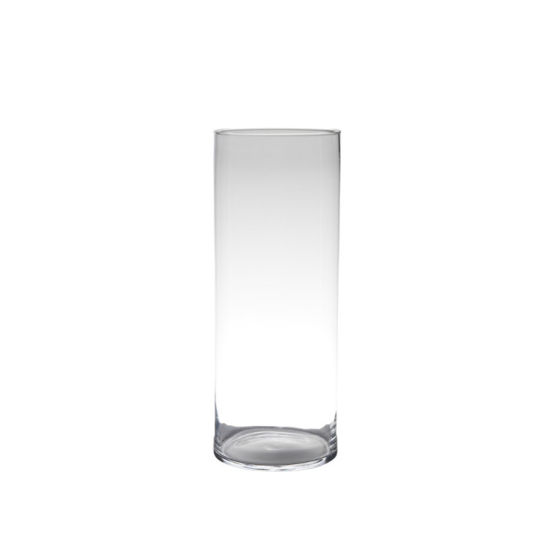 Glazen bloemen cylinder vaas-vazen 50 x 19 cm transparant