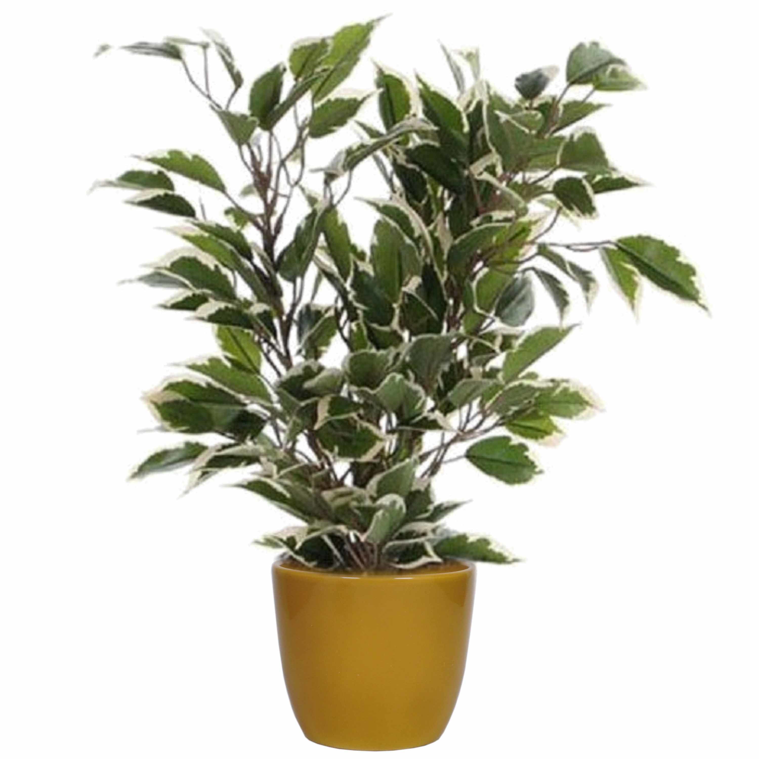 Groen-witte ficus kunstplant 40 cm met plantenpot okergeel D13.5 en H12.5 cm