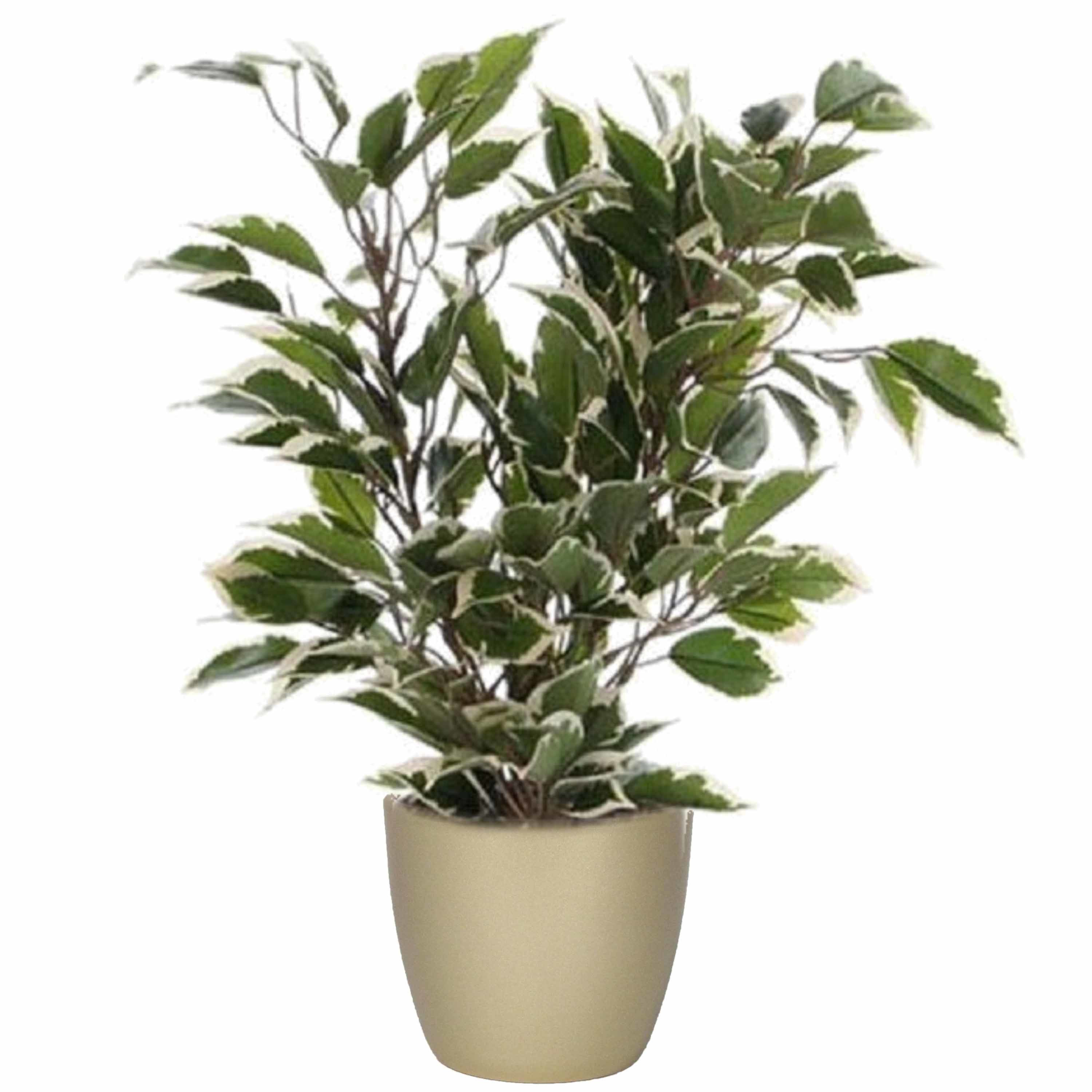 Groen-witte ficus kunstplant 40 cm met plantenpot parelgoud D13.5 en H12.5 cm