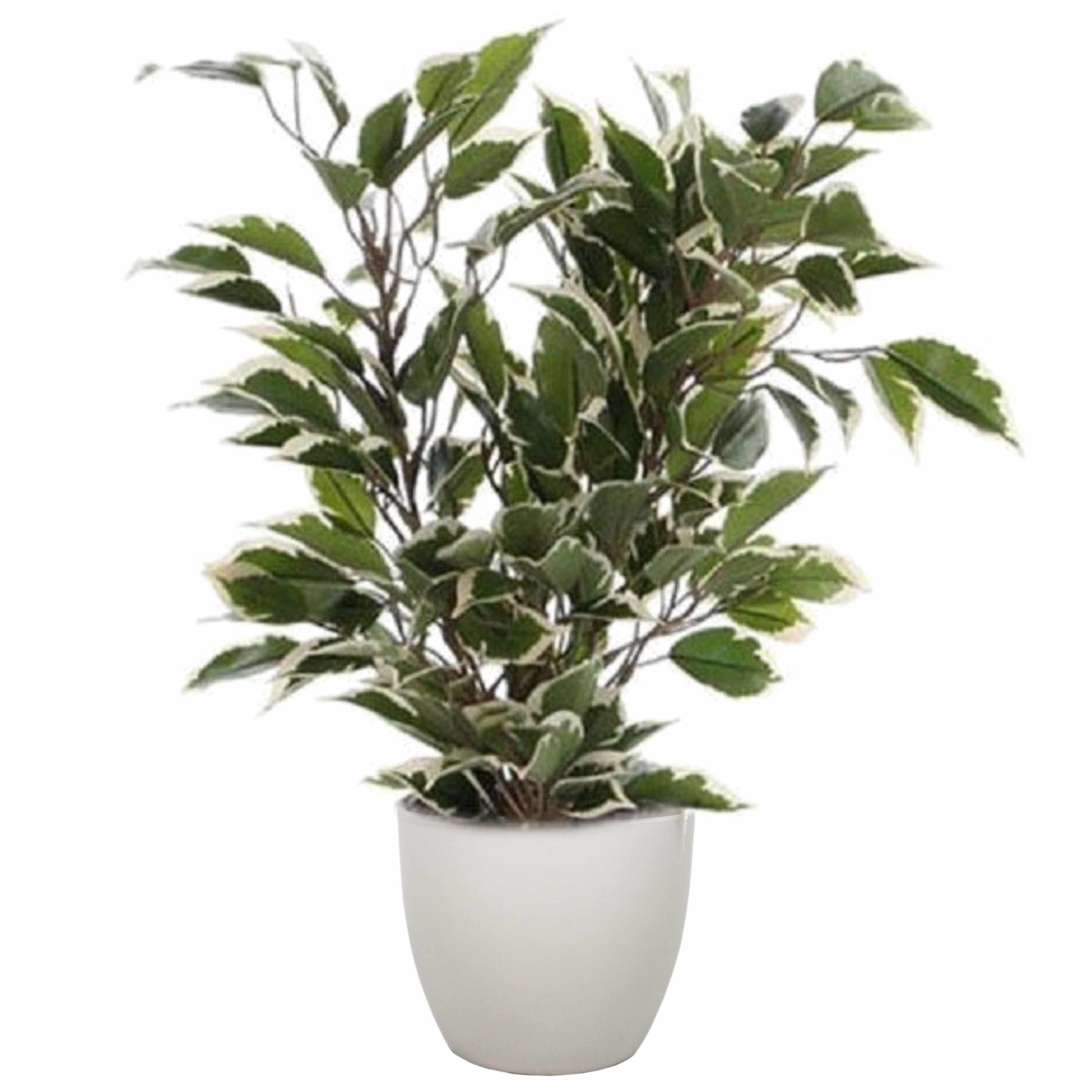 Groen-witte ficus kunstplant 40 cm met plantenpot taupe D13.5 en H12.5 cm