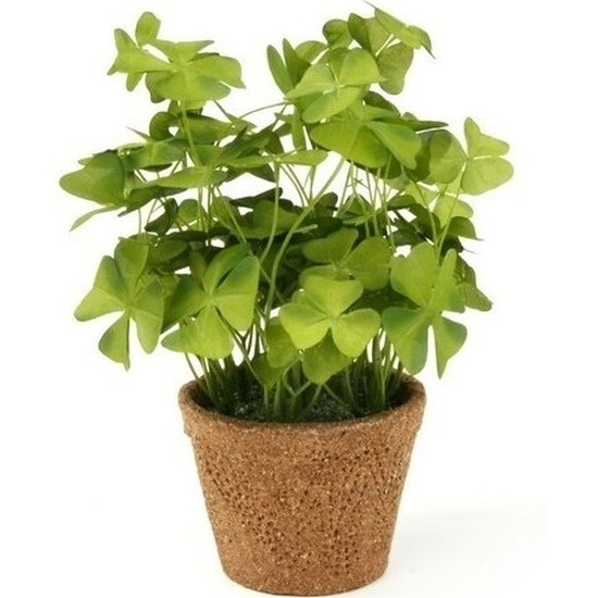 Groene kunstplant klaverzuring plant in pot 25 cm
