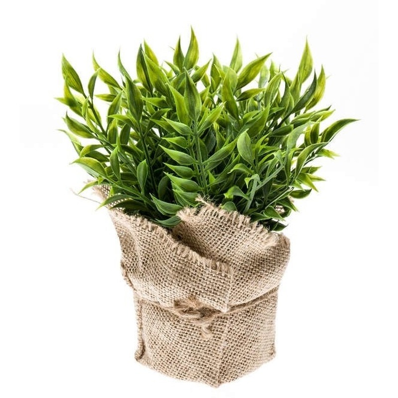 Groene kunstplant muizendoorn kruiden plant in pot