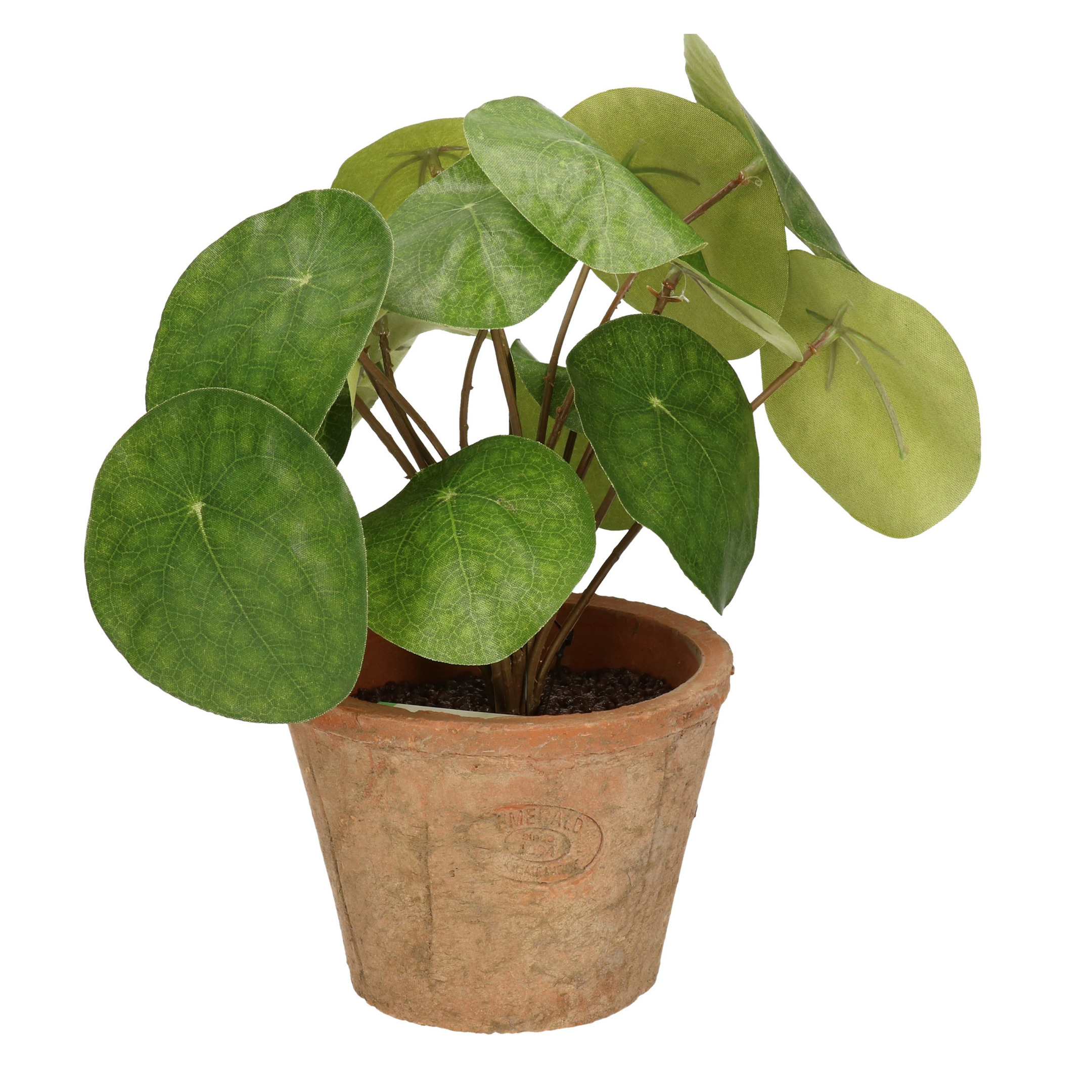 Groene kunstplant pilea plant in pot 25 cm