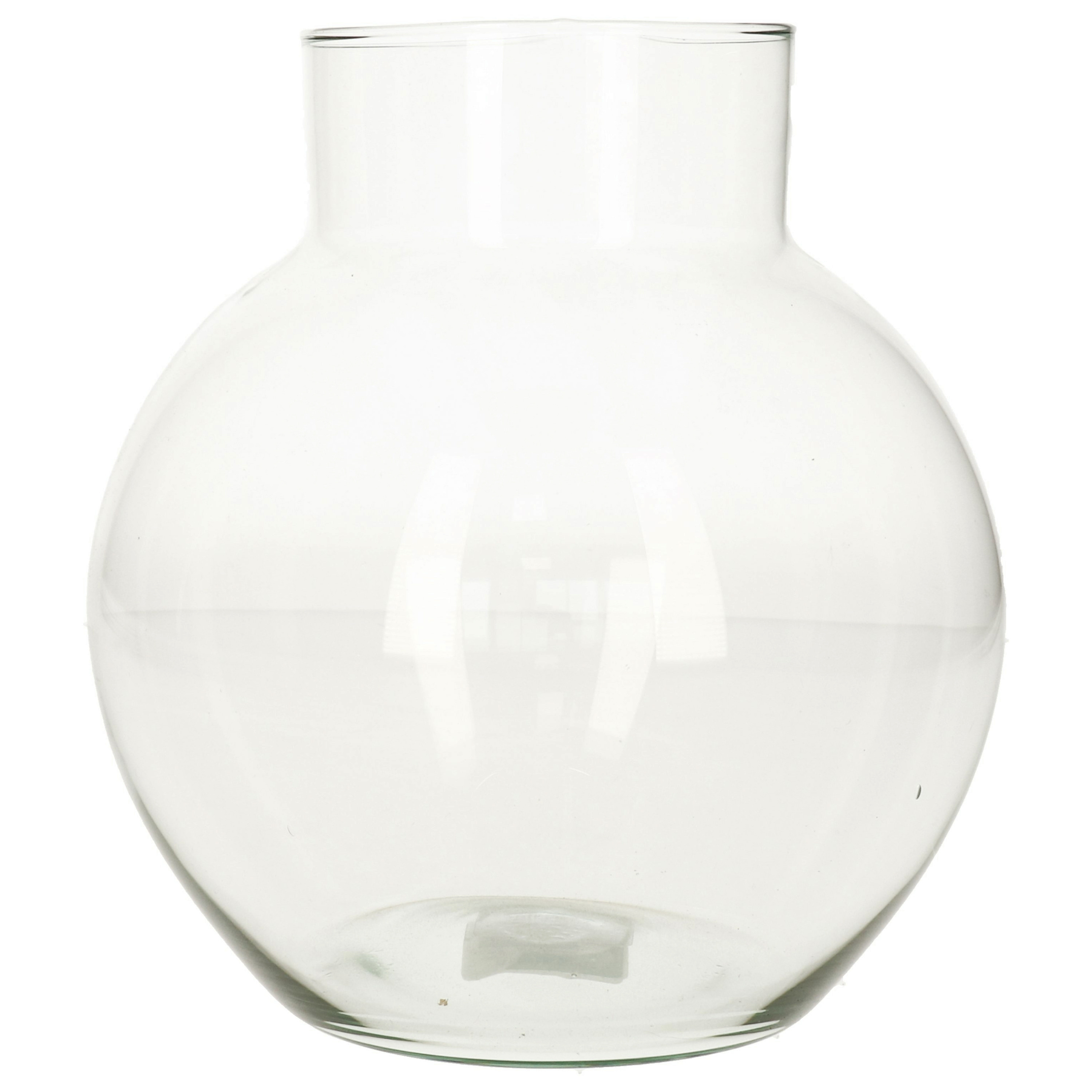 Hakbijl bol vaas-terrarium D19 x H20 cm transparant glas