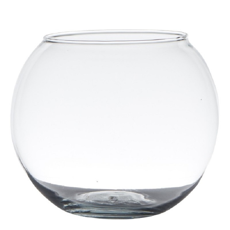 Hakbijl bol vaas-terrarium D20 x H15 cm glas