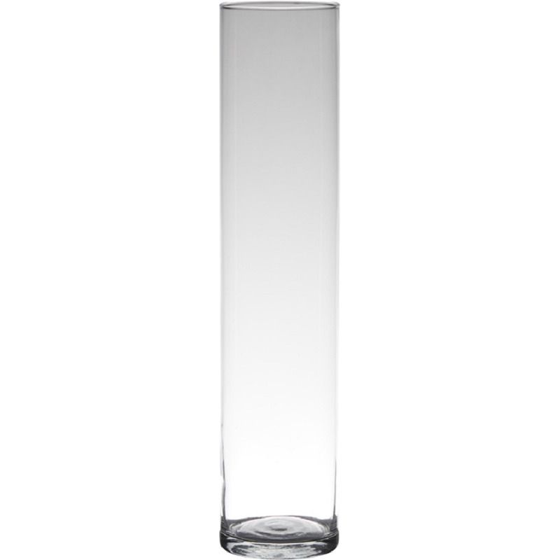Hakbijl glas Bloemenvaas smal Transparant cilinder vorm glas 50 x 9 cm