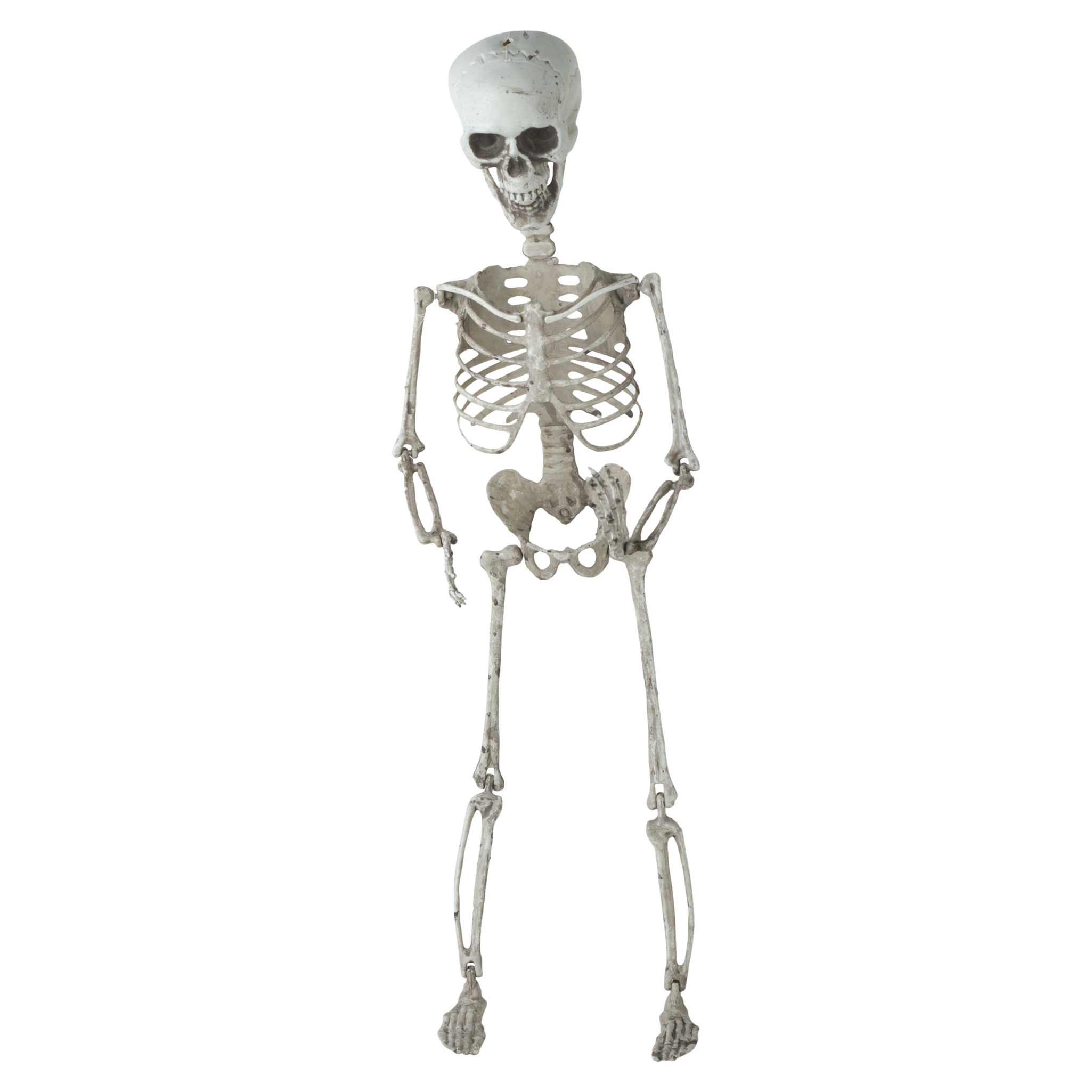 Hangende horror decoratie skelet 70 cm